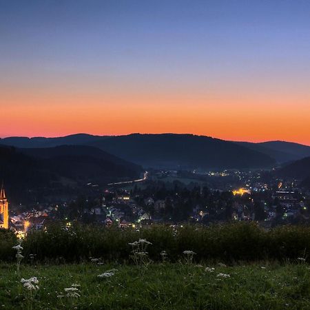 Drei Tannen - Wohnung 09 - Apartmenthaus, Titisee, Feldberg Kültér fotó