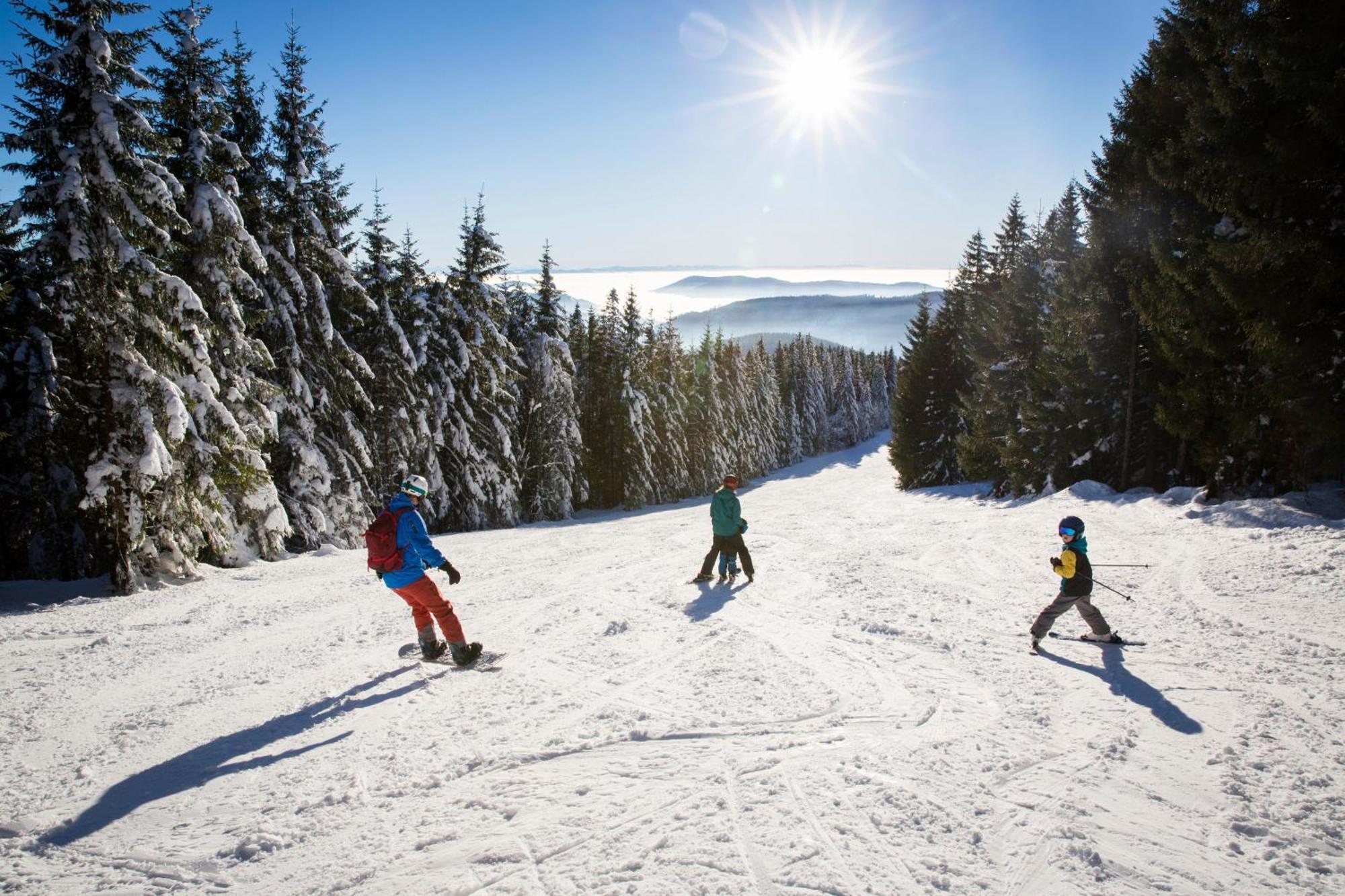 Drei Tannen - Wohnung 09 - Apartmenthaus, Titisee, Feldberg Kültér fotó