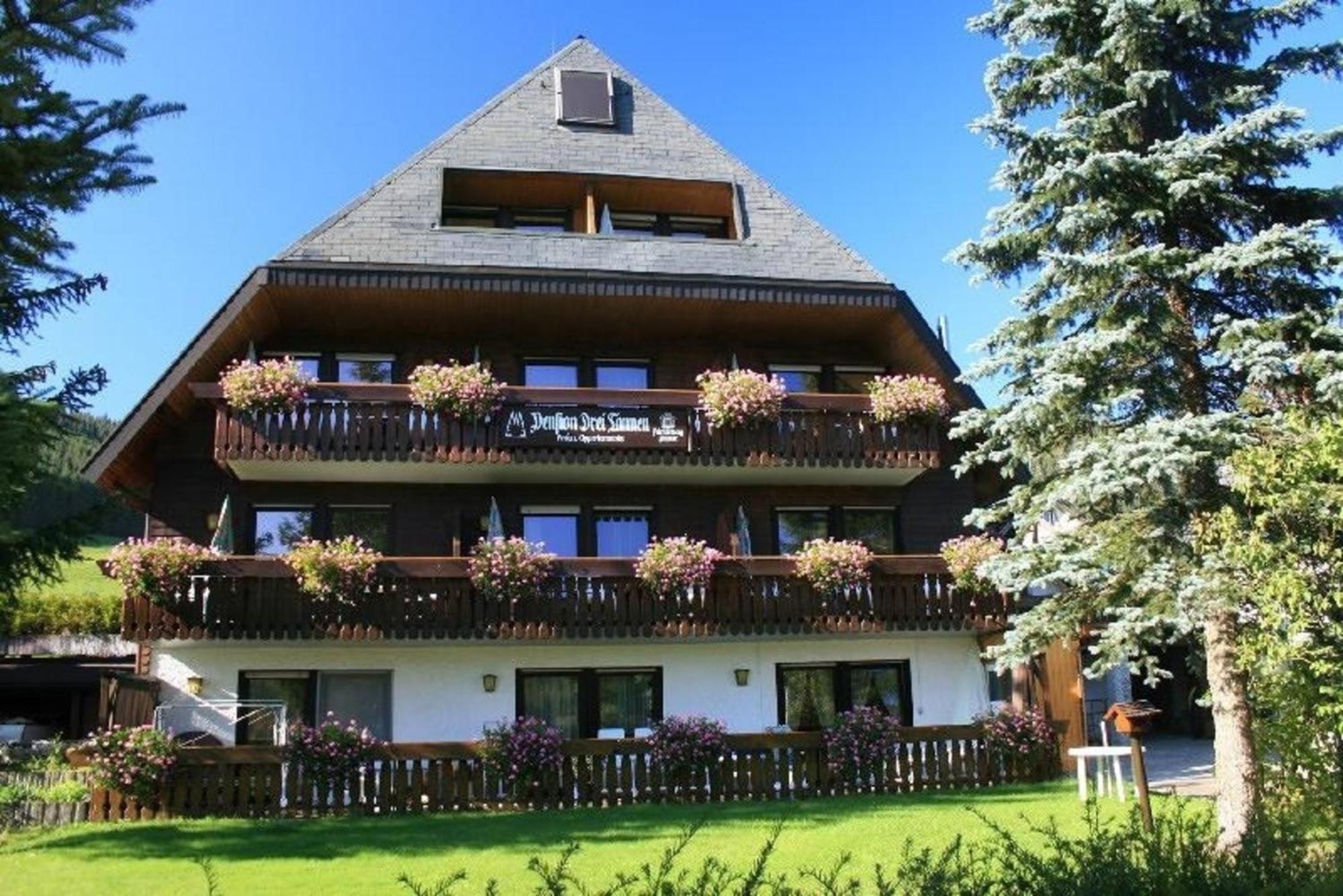 Drei Tannen - Wohnung 09 - Apartmenthaus, Titisee, Feldberg Kültér fotó
